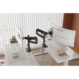 Digitus Single Monitorhalterung, 57", 27 kg schwarz