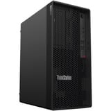 Lenovo ThinkStation P2 Tower Gen 2 (30JQ008LGE), PC-System schwarz, Windows 11 Pro