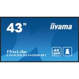 iiyama ProLite LH4365UHSB-B1, Public Display schwarz, UltraHD/4K, IPS, WiFi, Fernbedienung