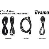 iiyama ProLite LH4365UHSB-B1, Public Display schwarz, UltraHD/4K, IPS, WiFi, Fernbedienung