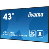 iiyama ProLite LH4365UHSB-B1, Public Display schwarz, UltraHD/4K, IPS, WiFi, Fernbedienung