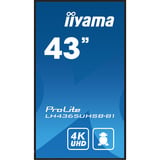 iiyama ProLite LH4365UHSB-B1, Public Display schwarz, UltraHD/4K, IPS, WiFi, Fernbedienung
