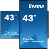 iiyama ProLite LH4365UHSB-B1, Public Display schwarz, UltraHD/4K, IPS, WiFi, Fernbedienung