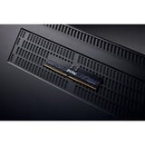 Kingston FURY DIMM 16 GB DDR5-5600 ECC, Arbeitsspeicher schwarz, KF556R28RBE-16, Renegade Pro, Registered, INTEL XMP, AMD EXPO
