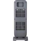 Steba Carbon-Heizstrahler CH 2  grau