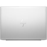 HP EliteBook 845 G11 (A26QHEA), Notebook silber, AMD Ryzen 5 8540U, AMD Radeon 740M, 16 GB DDR5, 512 GB (512 GB SSD), Windows 11 Pro 64-Bit