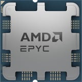 AMD EPYC™ 4545P, Prozessor Tray-Version