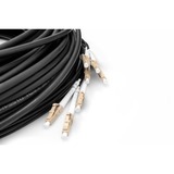 Digitus Glasfaser Universal Breakout Kabel, Duplex, LC/UPC Stecker, Multimode OM4 schwarz, 75 Meter, vorkonfektioniert