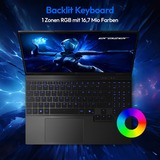 Medion ERAZER Major 15 X1 (MD62710), Gaming-Notebook schwarz, Intel® Core™ i9-14900HX, NVIDIA GeForce RTX 4070, 16 GB DDR5, 1 TB (1 TB SSD), Windows 11 Home 64-Bit