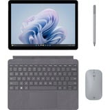 Microsoft Surface Go 4 Commercial, Tablet-PC platin, Windows 10 Pro, 256GB, Intel® N200