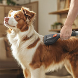 Thomas Fellpflege-Set, 6-teilig, Staubsauger-Aufsatz schwarz/grau, mit 3 austauschbaren Kämmen