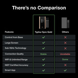 Typhur Sync Gold Dual, Thermometer schwarz, inkl. 2 Sonden