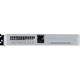 Palit GeForce RTX 5060 OC WHITE 8GB, Grafikkarte DLSS 4, 3x DisplayPort, 1x HDMI 2.1
