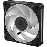 ARCTIC BioniX P12 A-RGB, Gehäuselüfter schwarz/weiß, 3er Pack, 120 mm