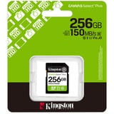Kingston Canvas Select Plus 256 GB SDXC, Speicherkarte UHS-I U1, Class 10, V10