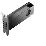 PNY NVIDIA RTX PRO 2000 Blackwell Generation 16GB SB, Grafikkarte Bulk