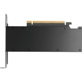 PNY NVIDIA RTX PRO 2000 Blackwell Generation 16GB SB, Grafikkarte Bulk