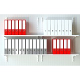 fischer Dübel SX Plus 8x40 S K hellgrau, 10 Stück, mit Schraube