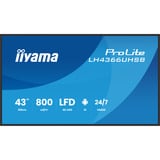 iiyama LH4366UHSB-B1AG, Public Display schwarz (matt), UltraHD/4K, VA, HDMI, USB-C