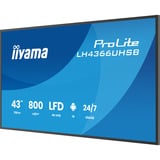 iiyama LH4366UHSB-B1AG, Public Display schwarz (matt), UltraHD/4K, VA, HDMI, USB-C