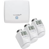 Smart Home Access Point (HMIP-HAP) & 3x Heizkörperthermostate eTRV (HmIP-eTRV-2), Set