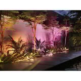 Philips Hue White & Color Ambiance Amarant lineare Außenleuchte, LED-Leuchte schwarz