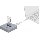 DeLOCK M.2 Dockingstation für M.2 NVMe PCIe SSD grau