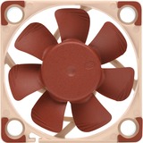 Noctua NF-A4x10 5V PWM, Gehäuselüfter 40 mm