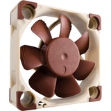 Noctua NF-A4x10 FLX, Gehäuselüfter braun/weiß, 40 mm