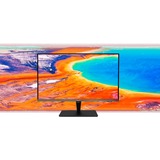 ASUS PA32UCX-PK, LED-Monitor 81.3 cm (32 Zoll), schwarz, UltraHD/4K, IPS, Thunderbolt 3