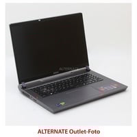 MSI Vector 17 HX A14VHG-1009, Gaming-Notebook Intel® Core™ i9-14900HX, NVIDIA GeForce RTX 4080, 32 GB DDR5, 1 TB (1 TB SSD), Windows 11 Home