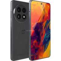 OnePlus 13 256GB, Handy Black Eclipse, OxygenOS, 12 GB