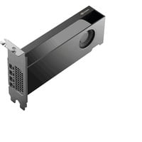 PNY NVIDIA RTX PRO 2000 Blackwell Generation 16GB PB, Grafikkarte Bulk