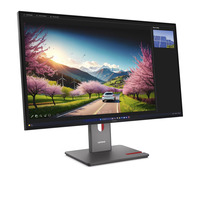 Lenovo ThinkVision P32UD-40, LED-Monitor 80 cm (31.5 Zoll), schwarz, UltraHD/4K, IPS, HDMI, DP, USB-C, USB-Hub, 120Hz Panel