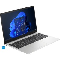 HP 250 G10 (9G844ES), Notebook silber, Windows 11 Home 64-Bit, 39.6 cm (15.6 Zoll), 512 GB SSD