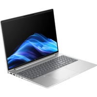 HP EliteBook 6 G1a (AD3J6ET), Notebook silber, AMD Ryzen 7 250, AMD Radeon 780M, 32 GB DDR5, 1 TB (1 TB SSD), Windows 11 Pro