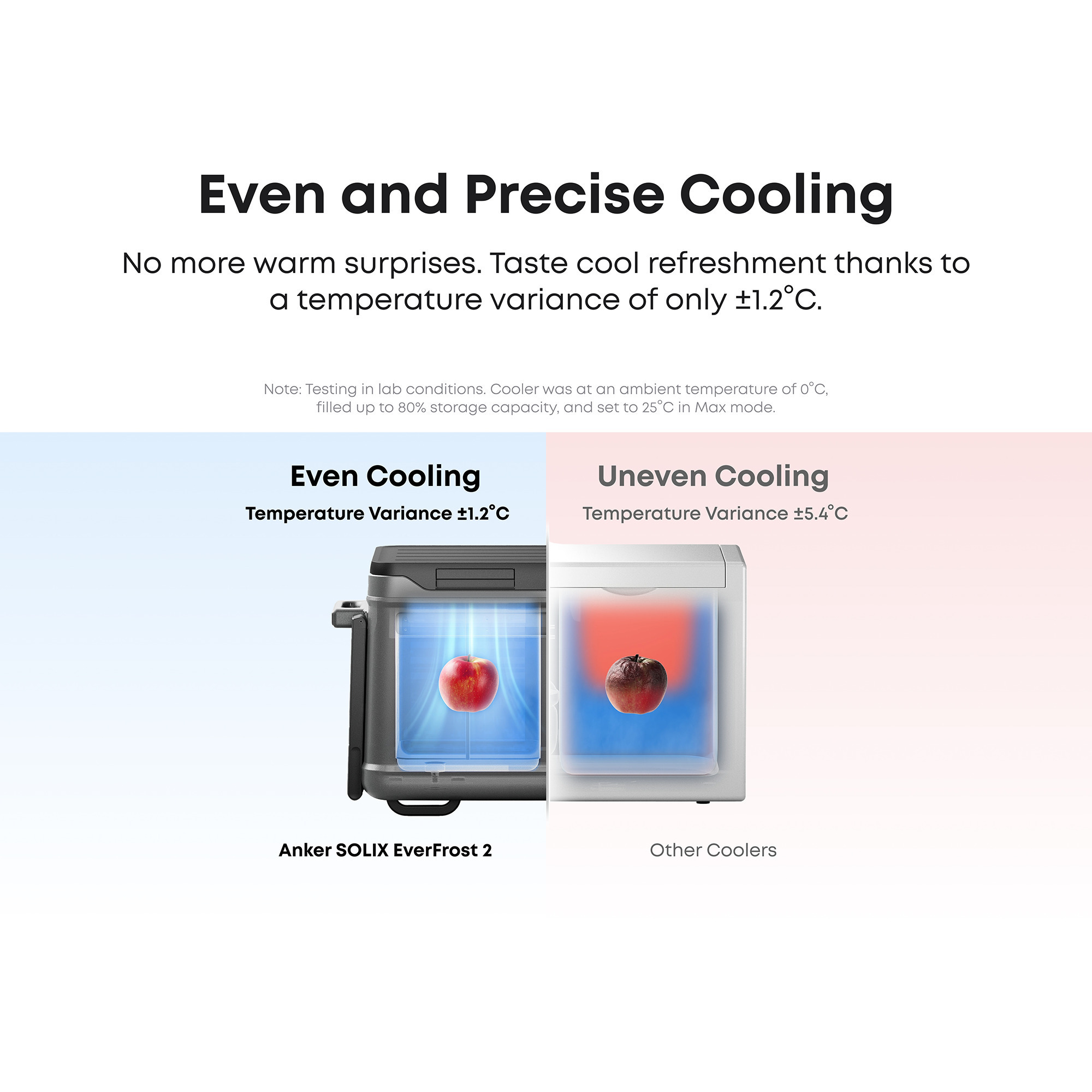 Anker SOLIX EverFrost 2 58L, Kühlbox grau/schwarz, mit 2 Akkus