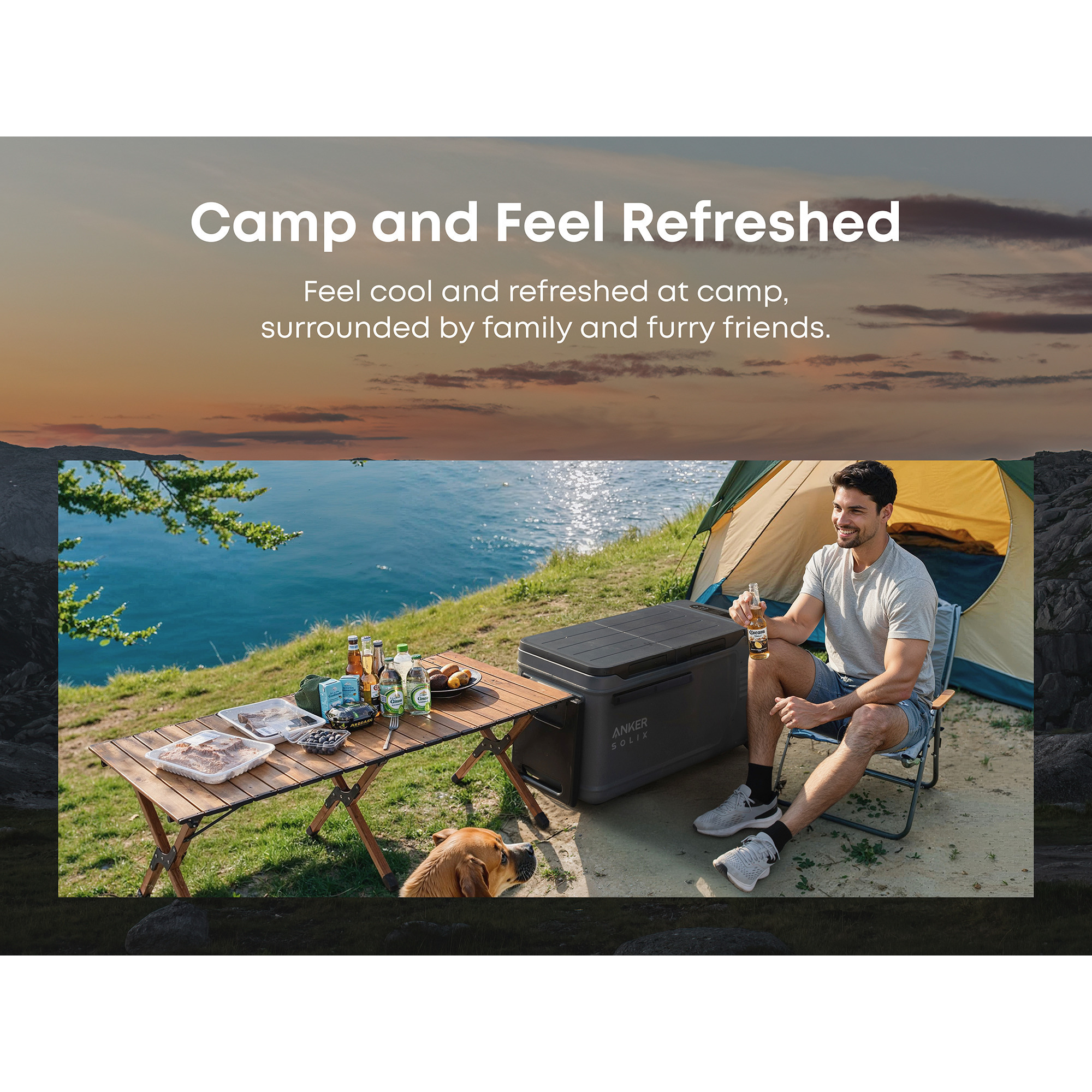 Anker SOLIX EverFrost 2 58L, Kühlbox grau/schwarz, mit 2 Akkus