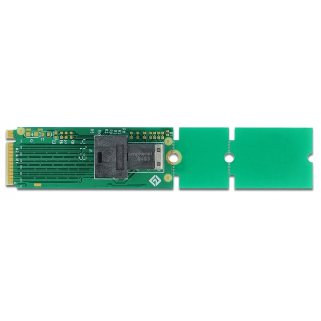 DeLOCK M.2 Key M zu SFF-8643 NVMe 22110 / 2280 / 2260, Schnittstellenkarte