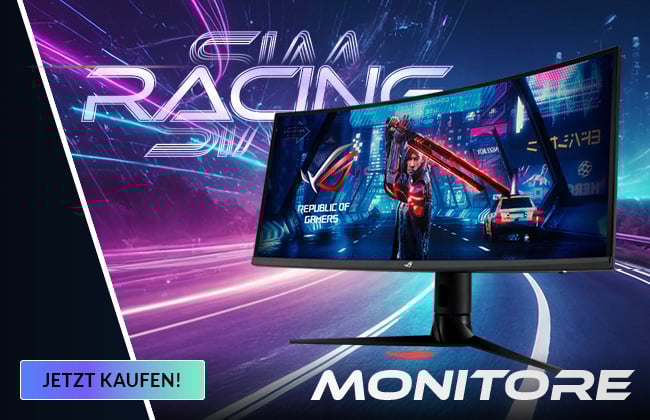 Monitore: Sim Racing Bestückung